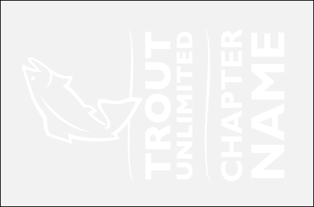 TU Chapter Car Decal (Large)