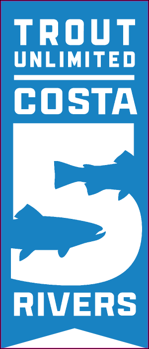 TU 5 Rivers Die Cut Vinyl Sticker